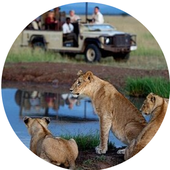 About Us Circle Image